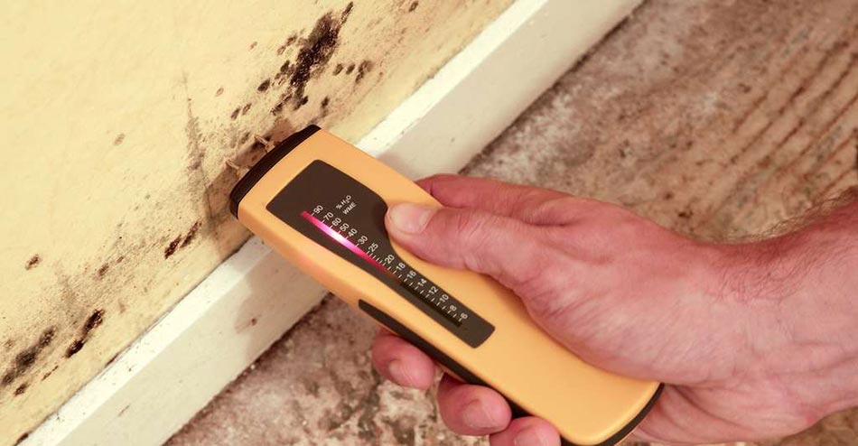 Relevé du taux d’humidité dans le mur à l’humidimètre