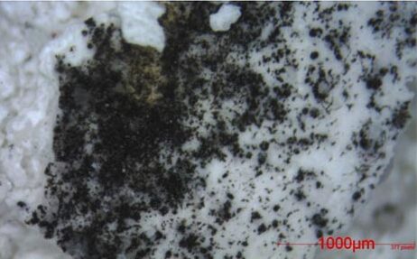 Microscope, échantillon, 1000µm, structure, noir, blanc, Ravalement du Roy