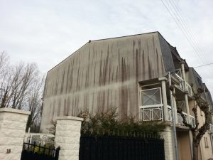 La pollution urbaine ou biologique (1)