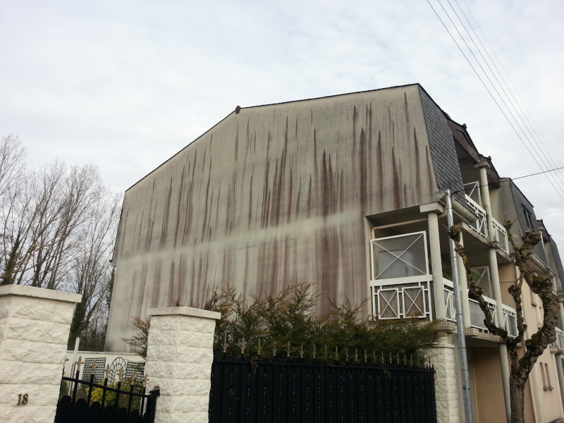 La pollution urbaine ou biologique (1)