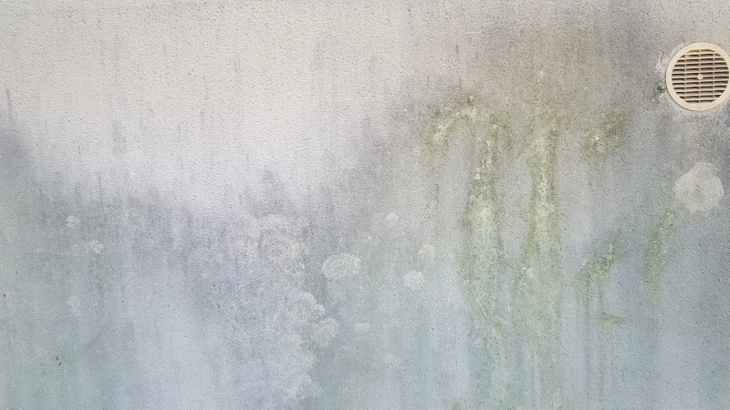 La pollution urbaine ou biologique (9)