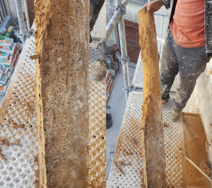 Le bois vermoulu (1)