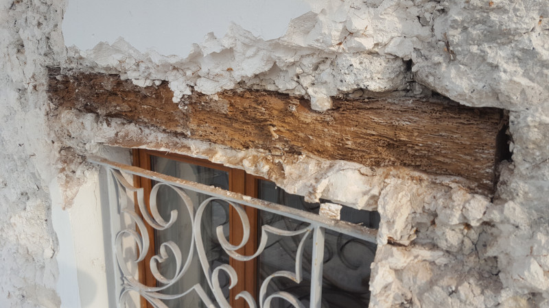 Le bois vermoulu (5)