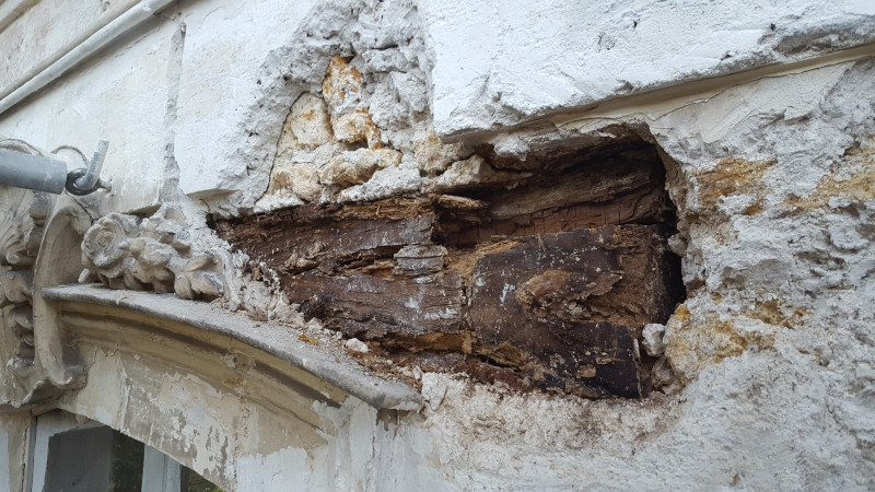 Le bois vermoulu (6)