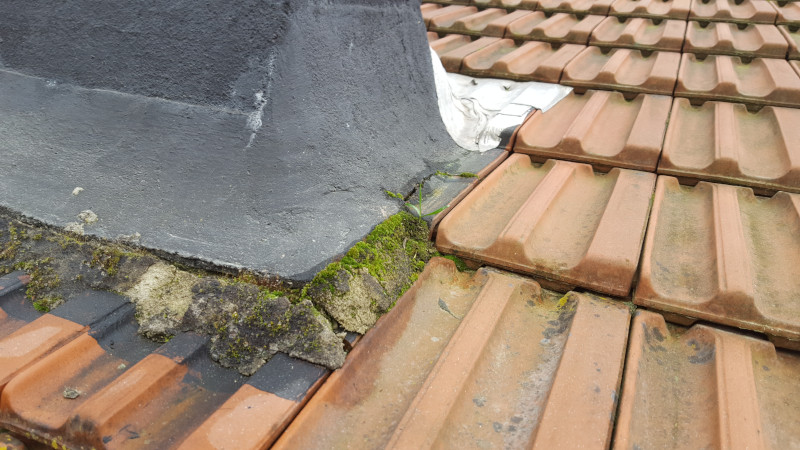 Les dégâts des eaux (5)