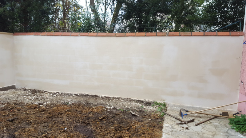 Les spectres ou fantômes (1)