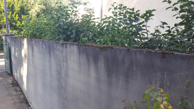 Les spectres ou fantômes (2)