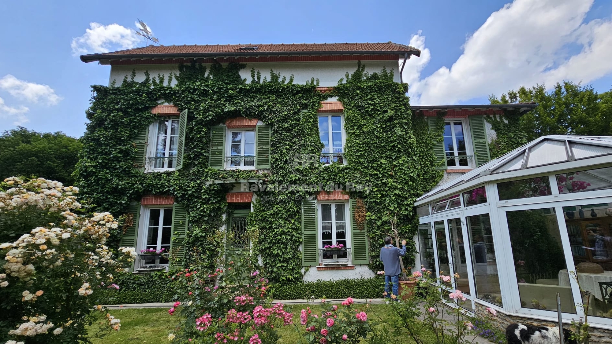 Façade de maison recouverte de plantes grimpantes avec fenêtres et véranda