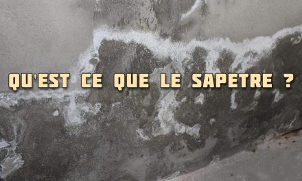 Qu’est-ce que le salpêtre ?