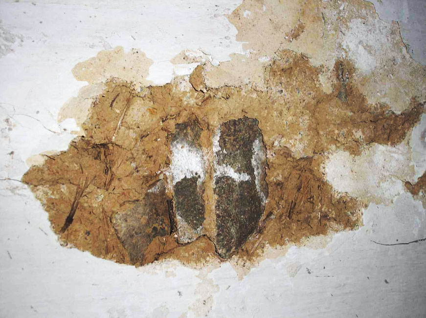 Qu'estce que le salpêtre ? Ravalement du Roy Qu'estce que le salpêtre ? Ravalement du Roy