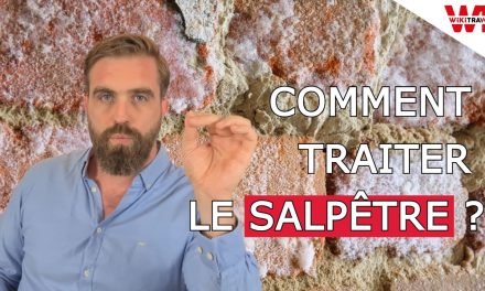 COMMENT TRAITER LE SALPETRE ?