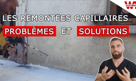 LES REMONTÉES CAPILLAIRES – Problèmes et Solutions